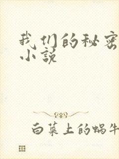 我们的秘密泰剧小说