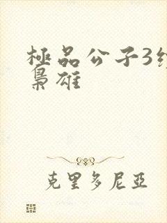 极品公子3续世枭雄