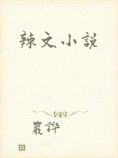 辣文小说
