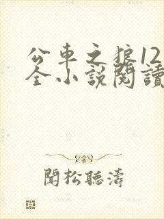 公车之狼12集全小说阅读封面