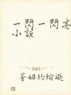 一闪一闪亮星星小说