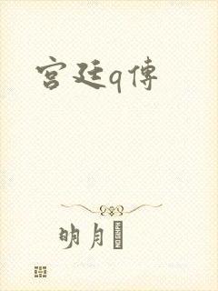 宫廷q传