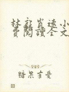 林毅肖远小说免费阅读全文最新章节