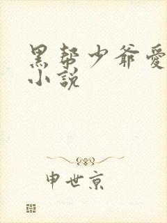 黑帮少爷爱上我小说