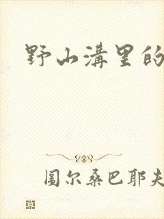 野山沟里的村庄