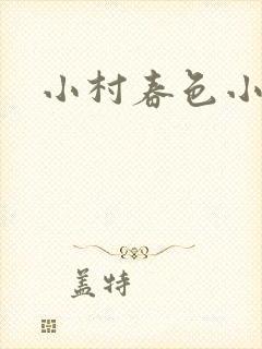 小村春色小说