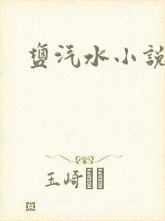 盐汽水小说