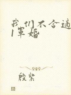 我们不合适1v1军婚