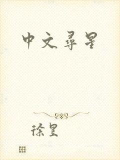 中文寻星