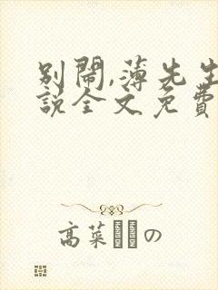 别闹,薄先生小说全文免费阅读