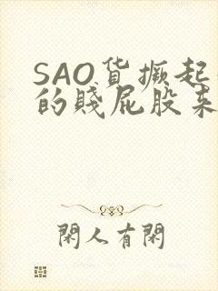 SAO货撅起你的贱屁股来