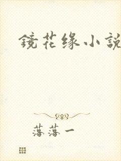 镜花缘小说