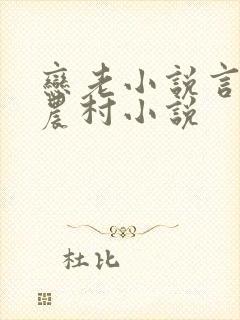 恋老小说言情网农村小说