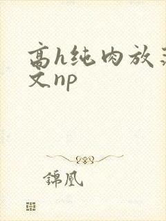 高h纯肉放荡h文np