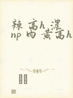 辣 高h 浓 np 肉 黄高h