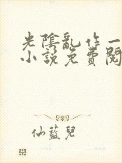 光阴乱作一团的小说免费阅读