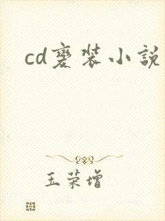cd变装小说