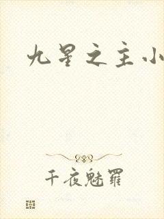 九星之主小说