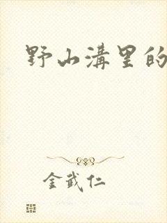 野山沟里的村庄