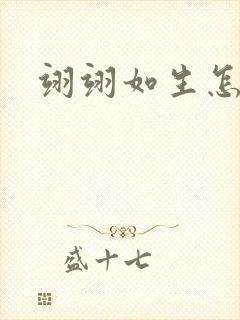 翊翊如生怎么读封面