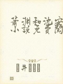 萧渊和沈安安的小说免费阅读