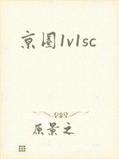 《京圈1v1sc》小说封面