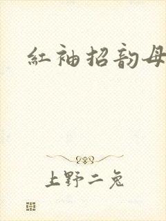 红袖招韵母攻略