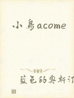 小鸟acome