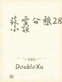 苏雪公憩28篇小说