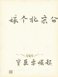 嫁个北宋公务员