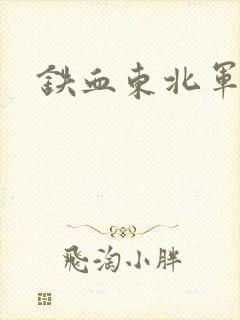 铁血东北军