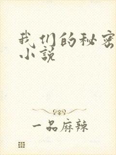 我们的秘密泰剧小说