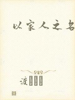 以家人之名小说