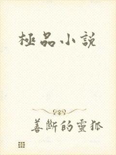 极品小说
