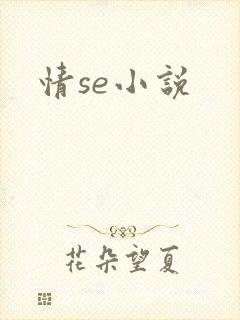 情se小说
