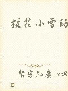 校花小雪的小说封面