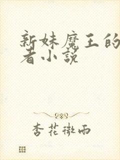 新妹魔王的契约者小说