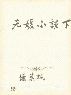 元媛小说下载封面