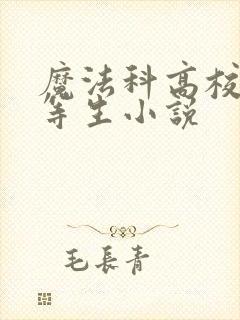 魔法科高校的劣等生小说