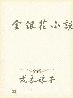金银花小说乐可