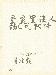 哥家里没人使点劲C我软件