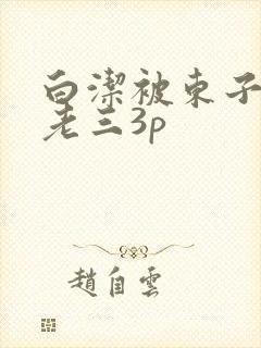白洁被东子老二老三3p