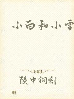 小白和小雪