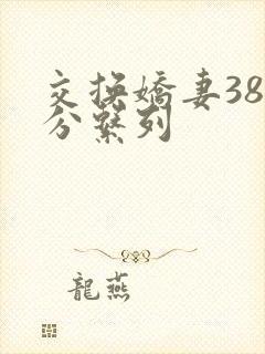 交换娇妻38部分系列