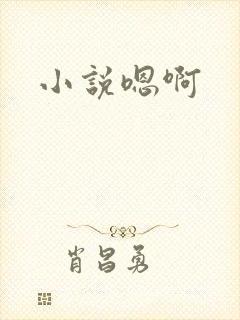 小说嗯啊