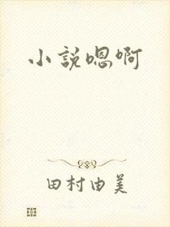 小说嗯啊