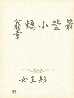 翁熄小莹最新节章