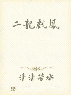 二龙戏凤