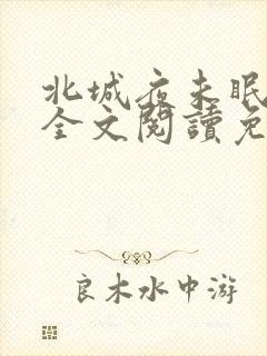 北城夜未眠小说全文阅读免费