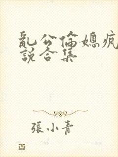 《乱公伦媳疯狂小说合集》小说封面